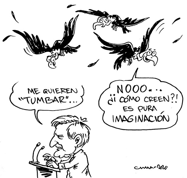 cartonchava_06_122020